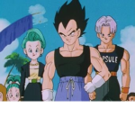 Bulma family