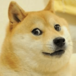 SUP DOG ROBLOX
