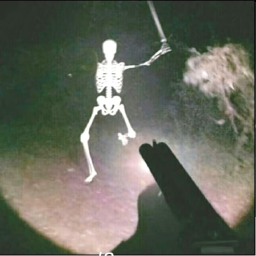 Lost in a forest at 3 AM simulator