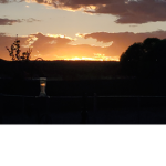 Sunset life forever