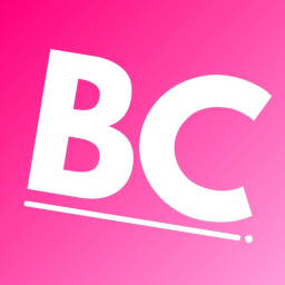 Brilliant Customs Payment Hub