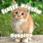 Fluffy Kitten Studios