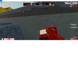 capture the flag