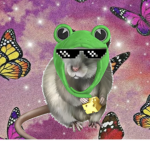 RAT CULT!!!!!!
