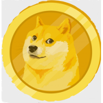 Doge Coin Incorporation