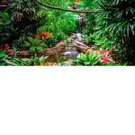~Forest club~ for everybody!