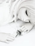 ⅡDollgeπie.