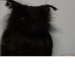 Giga Pudding