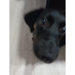 4A best klasė