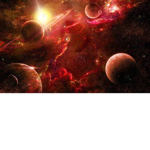Universal Species
