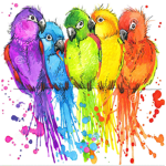 Parrotcity