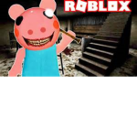 Piggy plays dayly