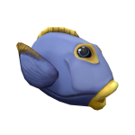 Tropical Fish
