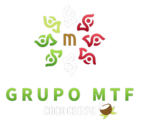 MTF Touch Futbol