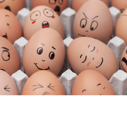 eggy.track