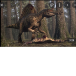 Spinosaurus group