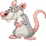 #r00m