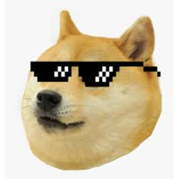 Run To Save The Doge