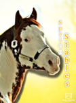 Spring stables