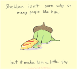 Sheldon The Turtle Fans
