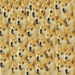 Dogepro's Studio