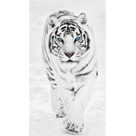 Tiger ppl :3