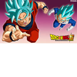 C.K  Dragon ball RP Evolved