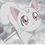 catmilv