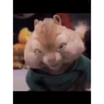 The epic monkies