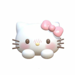 Kitty Store ୨୧