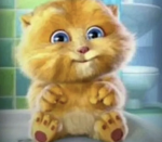 hello kittiez