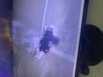 Shadow2388686857575657576577667777