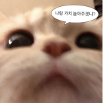 친구하자დ