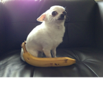 Banana army :P