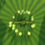 Flower Sanct