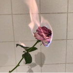 Aesthetically™