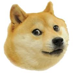 HIHIHIHIHI There