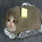 Butter Cat Clan