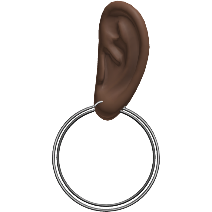 Silver Thin Hoop Earrings Ears