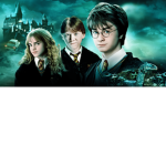 Harry Pott er Fans