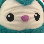 Fluffy owl