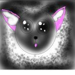 The Black Cats Of Roblox