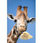 Giraffe Mashed Potatoes 28