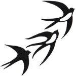 Avianichi