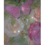 Brookiies fairies
