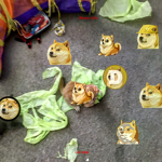 Doge fan group non real