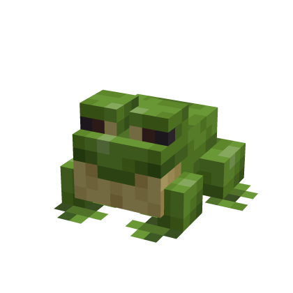 [FREE] Frog Shirt thumbnail