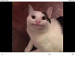 Belu-gang