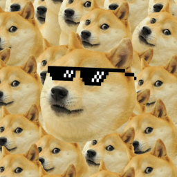 Doge's House [OFFICIAL]
