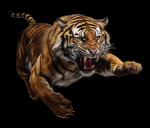 Tigersmash